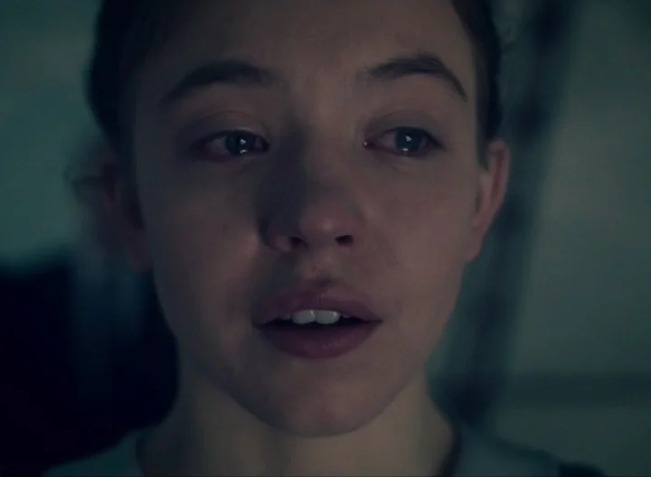 Embora tenha começado a atuar em 2009, com apenas 12 anos, Sweeney começou a ganhar projeção em 2018, ao participar da 2ª temporada da série O Conto da Aia (2017-).