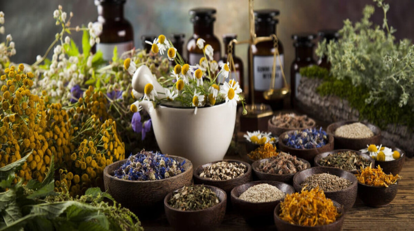 Banhos com ervas ajudam a afastar as energias negativas e aumentam a conexão com a natureza (Imagem: Sebastian Duda | Shutterstock)