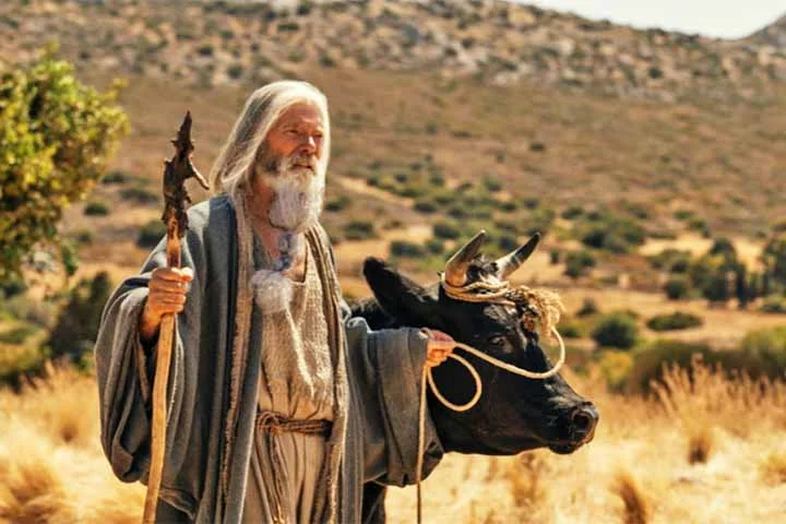 Desde sua estreia, Casa de Davi tem obtido ótimos números de audiência. De acordo com a própria Amazon, foram mais de 22 milhões de visualizações globais nos primeiros 17 dias de exibição.