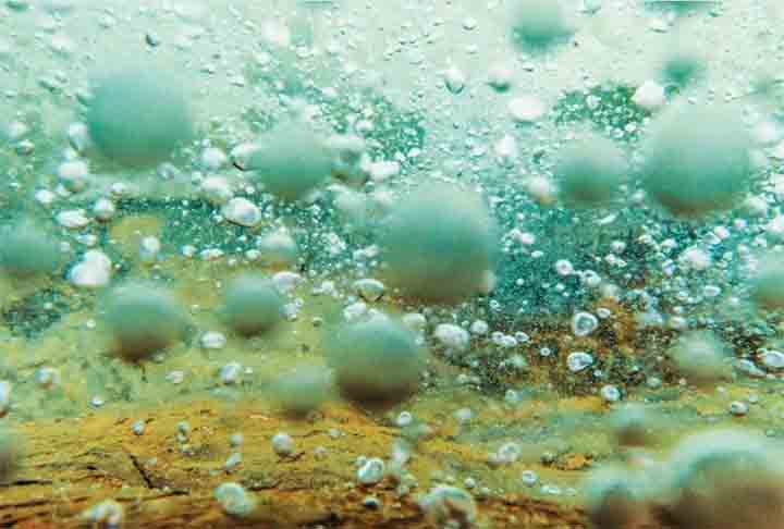 Maior floresta tropical do planeta, a Amazônia esconde em sua imensidão natural também o rio mais quente do mundo, o Shanay-Timpishka. 
