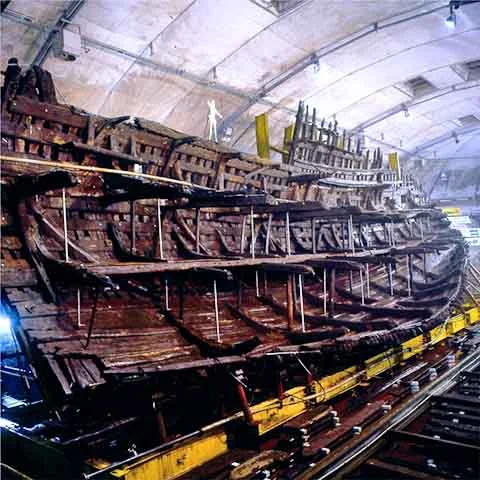 Após mais de 30 anos de serviço, o Mary Rose afundou em 19 de julho de 1545 durante a Batalha de Solent, diante do próprio rei Henrique. 