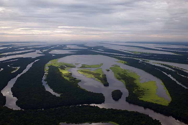 O encontro de suas águas com as águas do oceano provoca a pororoca (uma grande onda que percorre o rio por várias horas), cujo barulho pode ser ouvido a grande distância.