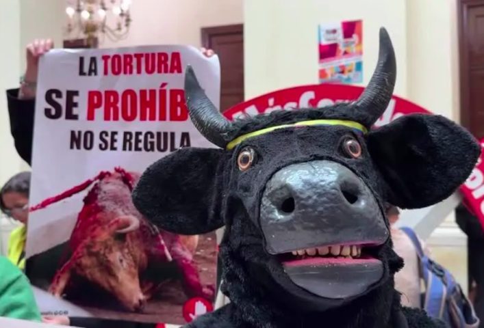 Em outros países das Américas, o combate às touradas é mais recente. No fim de maio de 2024, após sete anos de tentativas malsucedidas, o Congresso da Colômbia aprovou a proibição desse tipo de evento no país. Ao todo, foram 93 votos favoráveis e apenas dois contrários.