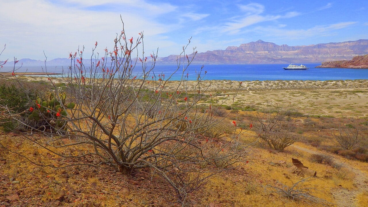 Veja agora alguns golfos que são importantes para a história, a  cultura e a economia de diferentes regiões pelo mundo.