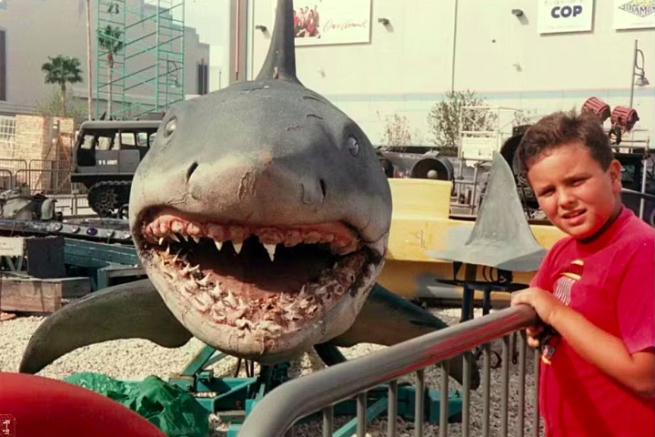 Daniel Botelho, de 44 anos, descobriu sua paixão pelo oceano ainda na infância, quando, aos 7 anos, anunciou para a mãe que havia fotografado um tubarão durante uma visita a um aquário.