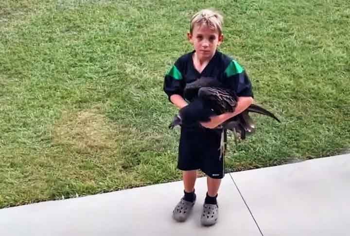 Uma cena curiosa chamou a atenção dos internautas nas redes sociais (site reddit). Um garoto se animou para mostrar o novo 