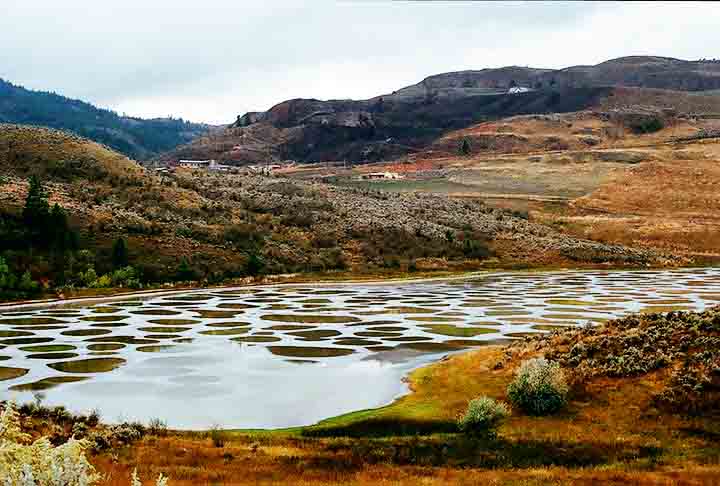 Quando a água evapora, esses minerais cristalizam e formam manchas circulares de diferentes cores, dependendo do tipo e da concentração do mineral presente.