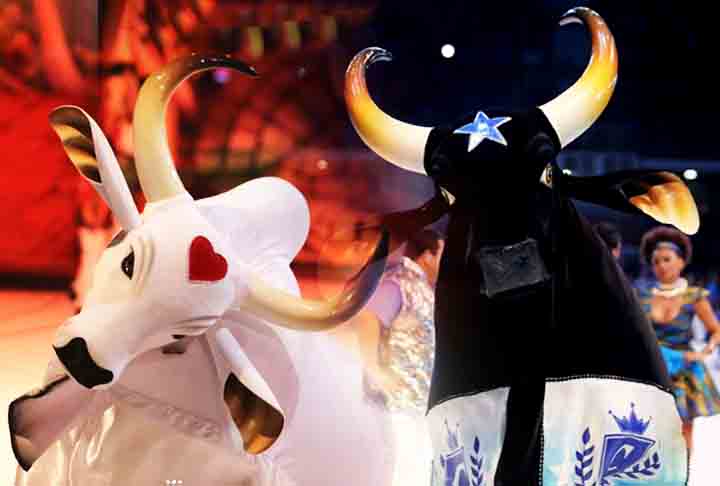 É que o Festival de Parintins, no Amazonas, tem uma disputa acirrada entre dois bois: o o Boi Caprichoso (azul) e o Boi Garantido (vermelho). Para homenagear a festa dando atenção a ambos os competidores, a Coca-Cola circula pela cidade na cor normal (vermelha), mas também na versão exclusiva azul. 
