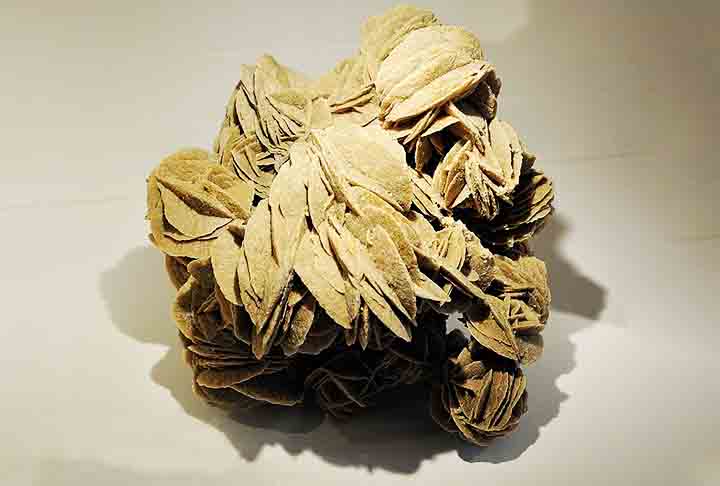 Rosa do deserto: Esse é um fenômeno geológico fascinante que se refere a formações minerais em forma de rosetas que ocorrem em desertos.