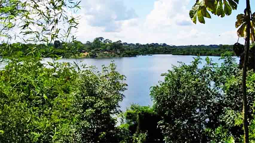 Lagos ajudam a filtrar sedimentos e poluentes, funcionando como uma espécie de “rim” do ambiente. Eles retêm nutrientes, metais pesados e outros resíduos antes que cheguem a rios ou ao mar.