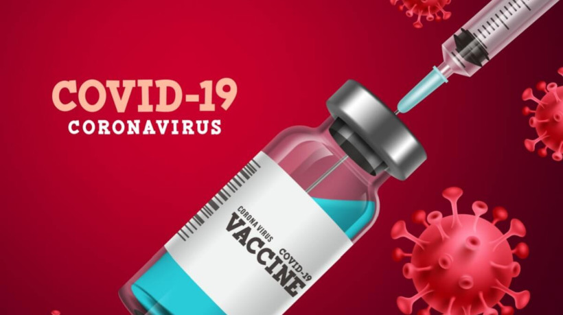 A vacina contra a covid-19 continua sendo importante (Imagem: AmazeinDesign | Shutterstock)