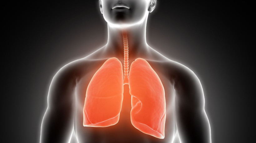 Boletim InfoGripe da Fiocruz considerou Semana Epidemiológica 20, até o dia 17 de maio 
