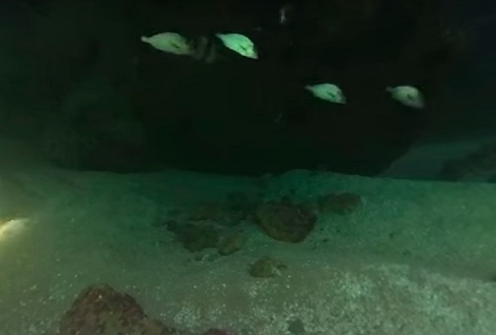 As seis cavernas registradas receberam os seguintes nomes: Pirambu, Chapeirão do Pirambu, Pirambu do Norte, Mero, Crista das Mileporas e Caverna do Dentão.