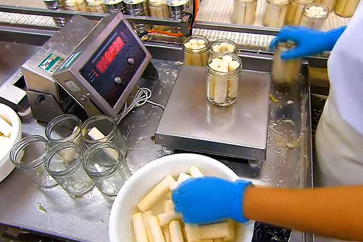 Os riscos de consumo estão relacionados à extração e ao manuseio do palmito. Quando são realizados de forma inadequada, podem contaminar o alimento com a bactéria Clostridium botulinum, que é responsável pelo botulismo.