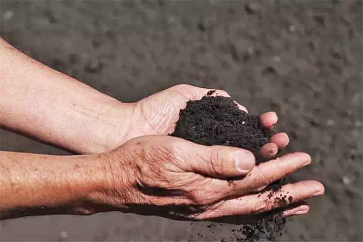 A proposta visa reduzir o uso de fertilizantes químicos, que dependem de combustíveis fósseis e prejudicam o solo e a água. 