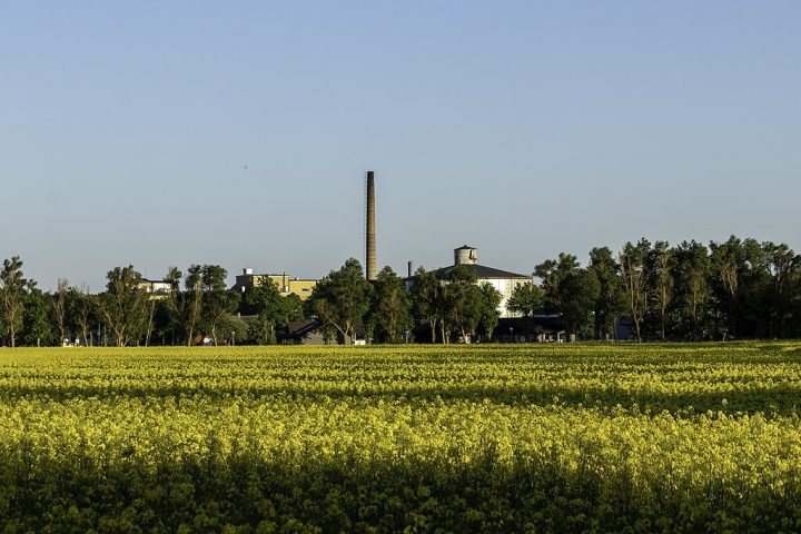 A região é conhecida por produzir ótimas cervejas na Suécia.