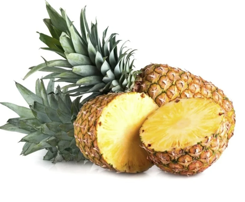 O abacaxizeiro é uma planta semiperene que alcança um metro de altura. Primeiramente, produz um único fruto, situado no ápice; depois, com a ramificação lateral do talo, aparecem outros.