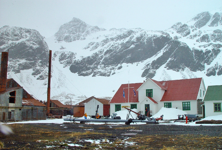 A ilha abriga algumas das maiores populações de aves marinhas e focas do mundo. Durante o século 20, a Ilha Geórgia do Sul desempenhou um papel significativo nas explorações antárticas.