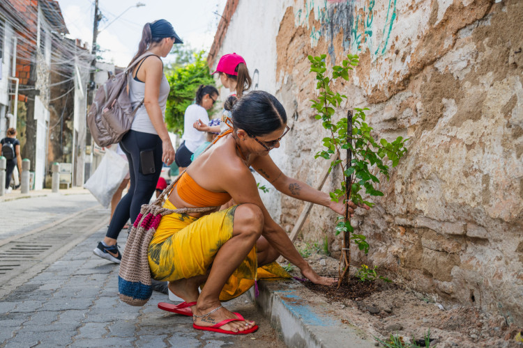 A&ccedil;&atilde;o de plantio de &aacute;rvores na comunidade do Po&ccedil;o da Draga.