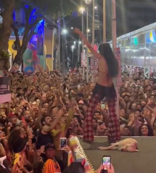 Também em Pernambuco, mas na capital Recife, um cachorro dormiu no palco durante show da cantora Marina Sena. O bicho não estava nem aí para a barulheira. 