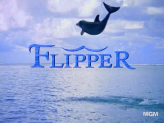 O golfinho-nariz-de-garrafa é famoso também por ser a espécie de Flipper, da série de TV sucesso nos anos 1960, que teve inclusive um remake nos anos 1990. Vale lembrar que o golfinho do seriado morreu em 3/5/1997. 