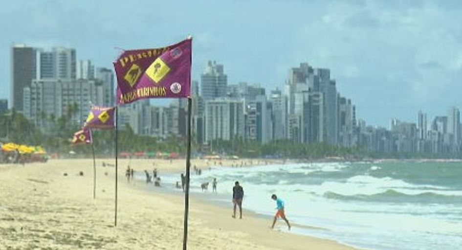 Em Jaboatão dos Guararapes, em Pernambuco, tubarões foram assunto de destaque por causa de ataques a banhistas, registrados na Praia de Piedade. Faixas alertam que o banho é proibido no local. 