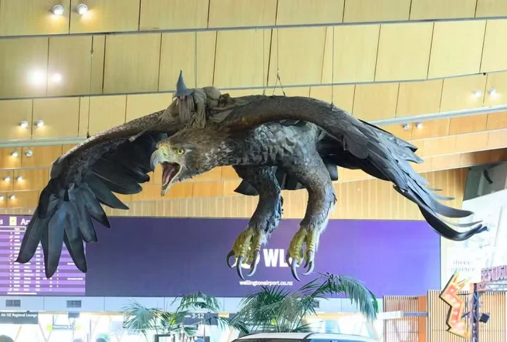 As esculturas possuíam 15 metros de envergadura e pesam 1,1 tonelada cada. As cerca de mil penas foram feitas em impressão 3D.