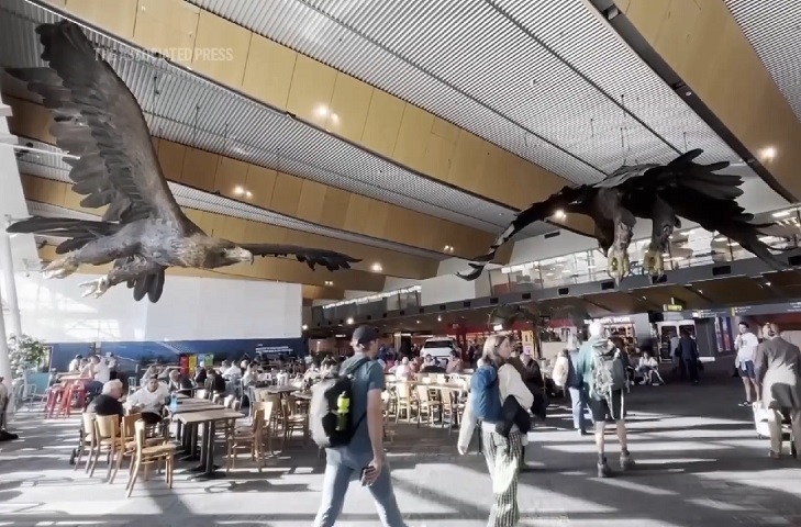 As estátuas não foram totalmente descartadas, mas sim armazenadas até que possam ser transferidas para um museu.