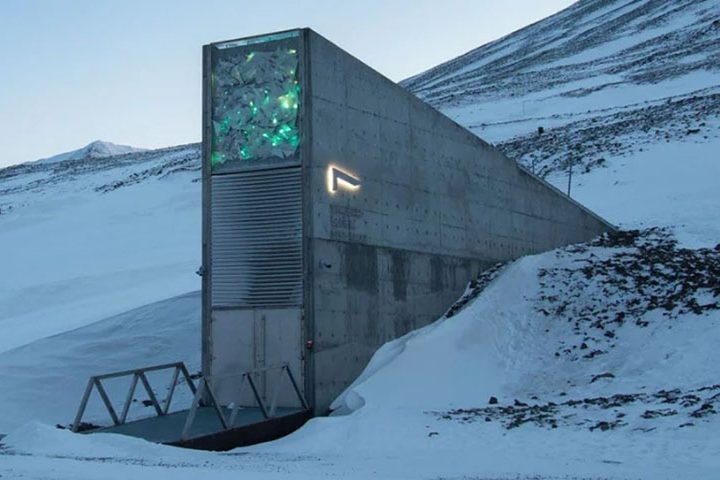 É em Svalbard que fica o Global Seed Vault, um depósito subterrâneo que armazena sementes do mundo todo para preservar a biodiversidade agrícola em caso de colapso global.