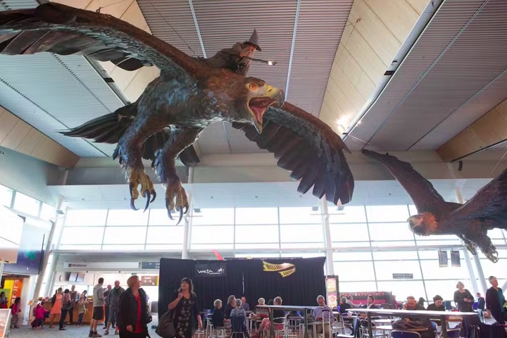 Desde 2013, passageiros do Aeroporto de Wellington, na Nova Zelândia, eram 