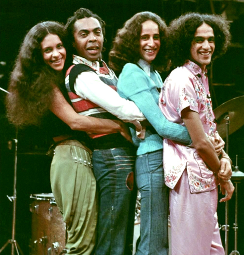 Foi uma das figuras centrais da Tropicália, movimento que revolucionou a música brasileira com Caetano Veloso,  Maria Bethania e Gilberto Gil. Sua presença de palco e voz marcante rapidamente a tornaram um ícone.
