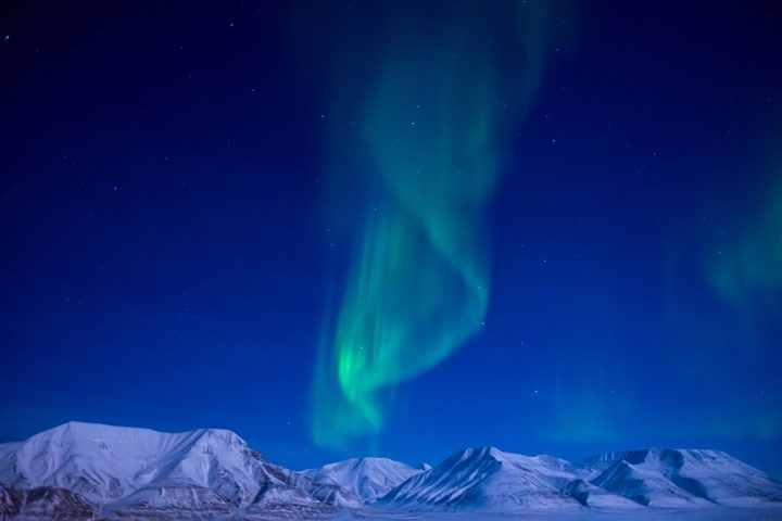 Depois, Svalbard se tornou um destino popular para observação da aurora boreal e da fauna, flora e funga (fungos) únicas do Ártico.
