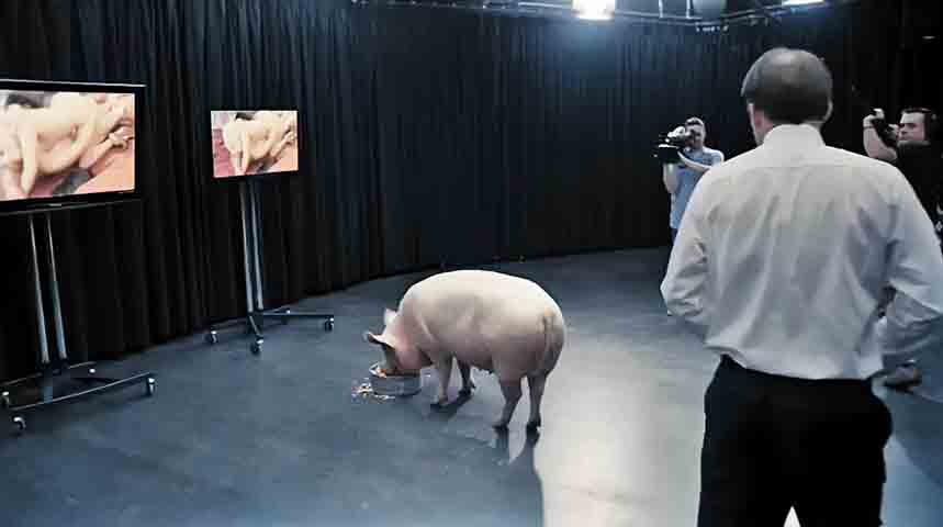 Na estreia da primeira temporada, Black Mirror já deixava claro a que vinha. The National Anthem (S01E01) choca ao mostrar o primeiro-ministro britânico forçado a cometer um ato humilhante em rede nacional, expondo o poder das redes sociais e da opinião pública.