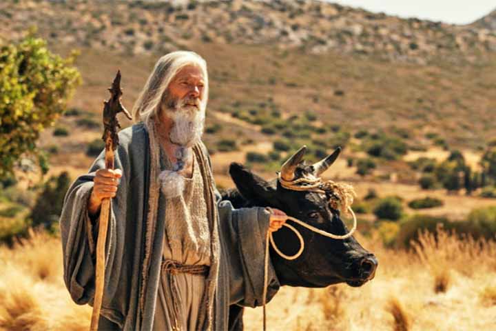 Desde sua estreia, Casa de Davi tem obtido ótimos números de audiência. De acordo com a própria Amazon, foram mais de 22 milhões de visualizações globais nos primeiros 17 dias de exibição.