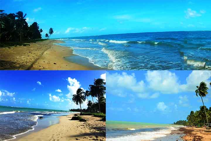Costa do Nordeste (Brasil) – Abrange estados como Bahia, Pernambuco e Rio Grande do Norte, com praias paradisíacas, cultura vibrante e gastronomia marcante.

