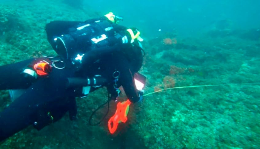 A descoberta foi feita por biólogos marinhos e anunciada no Science Channel. Um dos pesquisadores declarou que a primeira parte do trabalho, analisando registros em bibliotecas, foi demorada, mas fundamental para informações que comprovassem o achado. 