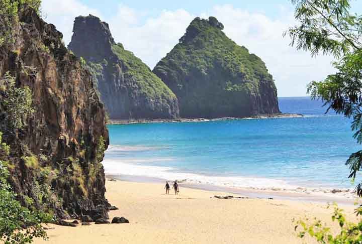 Ele foi ao local depois que a diretora do projeto Aves de Noronha, Cecília Licarião, postou no grupo de Whatsapp que um guia nativo da ilha, chamado Leke, guarda do Parque Nacional Marinho de Fernando de Noronha,  tinha visto um pássaro diferente dos que existem na região. 