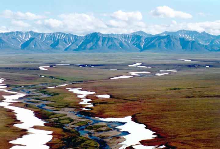 Com uma paisagem dominada por montanhas, geleiras, florestas e tundras, o Alasca abriga algumas das áreas selvagens mais intocadas do mundo.
