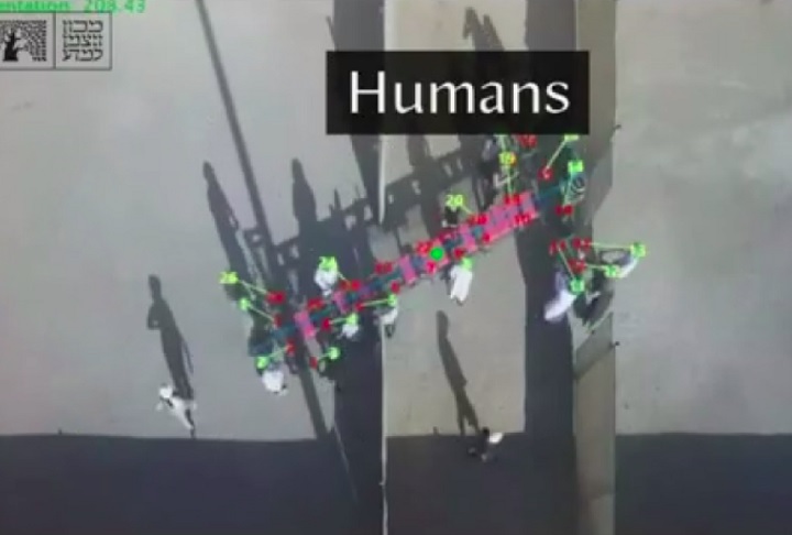 Já os humanos, quando impedidos de se comunicar, tiveram desempenho inferior em grupo, optando por soluções rápidas, mas menos eficazes.