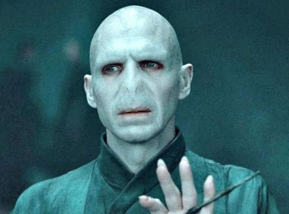Esbelta, com pernas finas e mandíbulas longas e afiadas, a  formiga recebeu o sugestivo nome de Leptanilla voldemort, em homenagem ao vilão da saga Harry Potter. É que o inseto é tenebroso:  tem o hábito de caçar à noite e seu ferrão poderoso é capaz até de imobilizar presas grandes, como centopeias. 