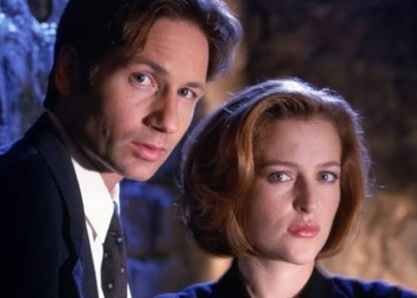 Além da série de TV, dois filmes também integram sua franquia. Arquivo X, lançado em 1998, que ajuda a explorar a história maior narrada pela série, e Arquivo X ‑ Eu Quero Acreditar, lançado em 2008, que serve apenas como um evento episódico.