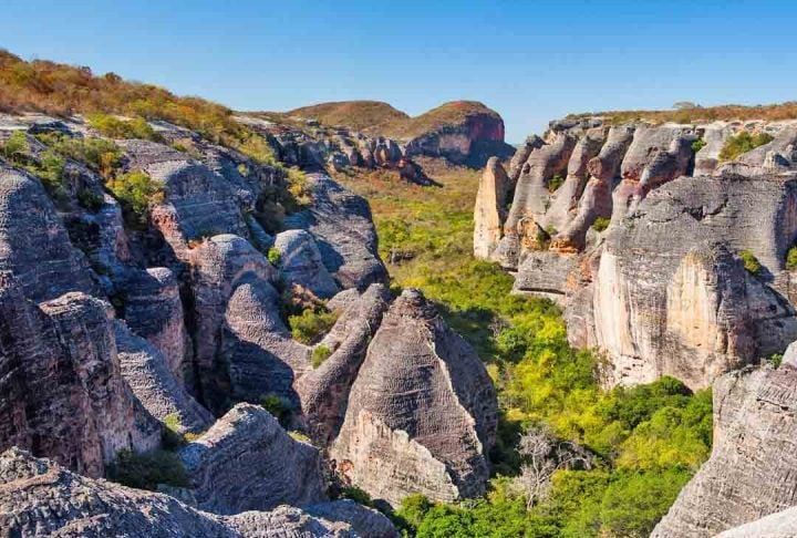 Os pesquisadores ainda trabalham para transformar o lugar em um destino turístico, parecido com o Parque Nacional da Serra da Capivara.