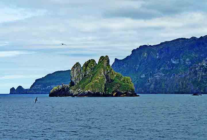 Os penhascos de rochas vulcânicas, imponentes acima do mar, se tornaram algumas das principais colônias de aves marinhas do mundo.