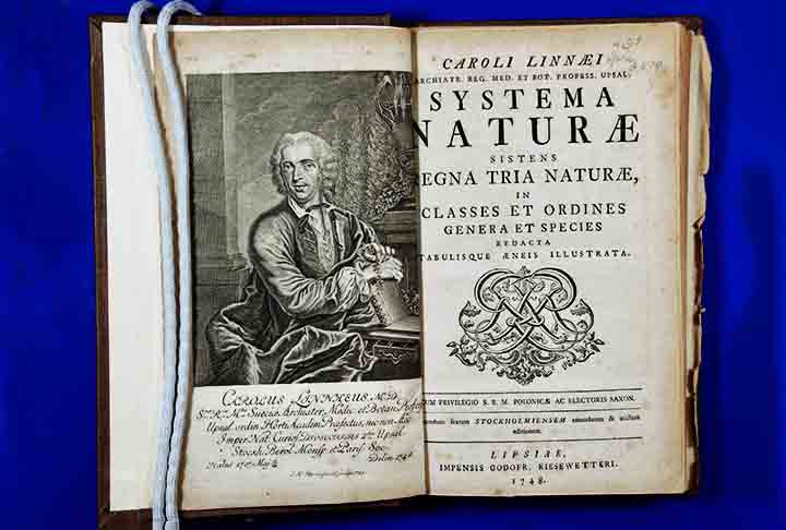 Este sistema, apresentado em sua obra Systema Naturae (1735), permitiu uma comunicação científica mais clara e precisa, facilitando o estudo e a catalogação da biodiversidade mundial. A obra de Linnaeus proporcionou uma base para a organização do conhecimento biológico e para o desenvolvimento das ciências biológicas, promovendo um entendimento mais estruturado sobre a diversidade da vida na Terra.