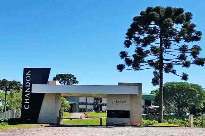 Já a Chandon, em Garibaldi (RS), oferece experiências refinadas em meio à natureza, com degustações em sua Casa-Container e no Terraço. Uma opção inclui quatro espumantes da linha Assinatura. 