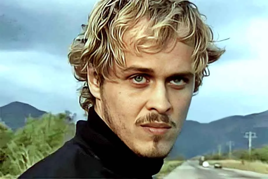 Mas foi em 1994, que Guilherme Fontes teve seu apogeu na carreira, em A Viagem (1994). Afinal, o ator ficou gravado na memória da teledramaturgia brasileira ao interpretar Alexandre Toledo na trama espírita, de Ivani Ribeiro, da TV Globo.