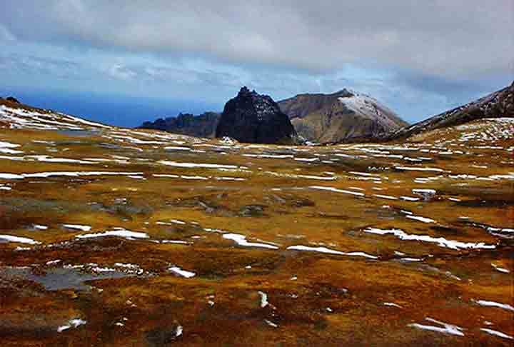 Cada família é autorizada pelo governo britânico a ter gado, mas o número é controlado para evitar danos às pastagens. Mas com os frutos do mar, o assunto é diferente, já que a pesca tem enorme destaque por lá. 