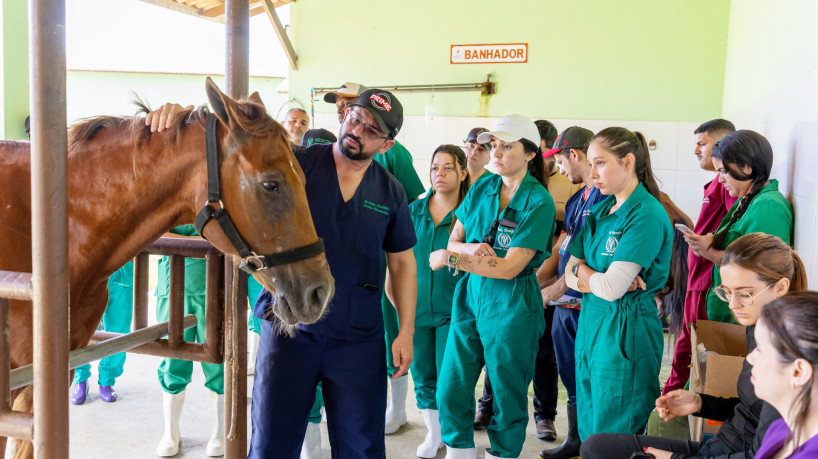 A UniAteneu oferta o Curso de Medicina Veterinária nas unidades acadêmicas Lagoa de Messejana e Harmony – Bezerra de Menezes 