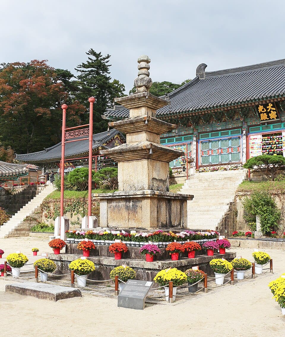 Espalhados por diferentes países da Ásia e do mundo, esses templos refletem a diversidade das escolas budistas, dos estilos arquitetônicos regionais e das histórias locais.