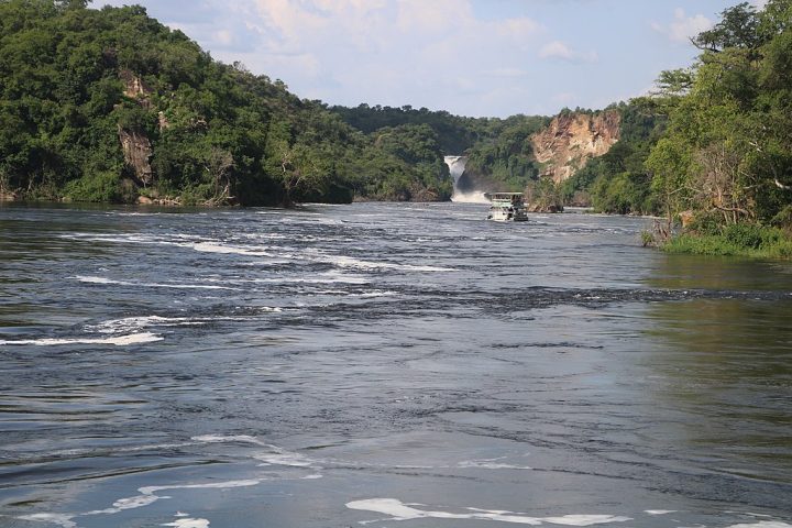 A foz pode ser de dois tipos principais: delta, que é quando o rio se divide em vários braços antes de desaguar (ex.: Rio Nilo);